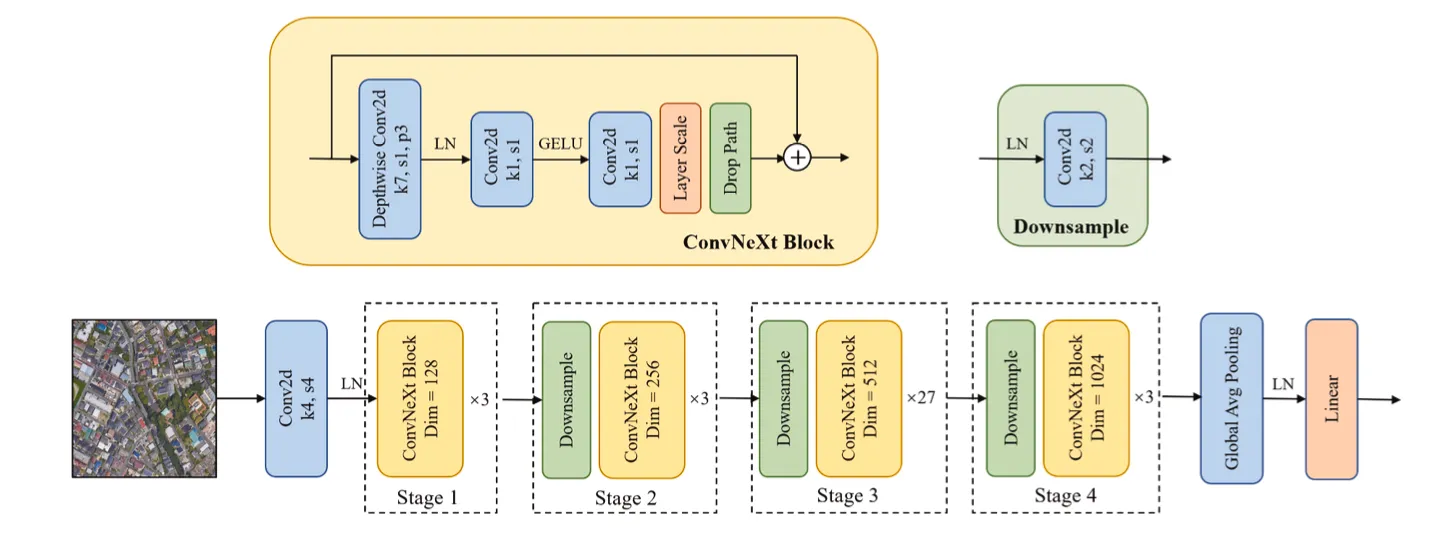 ConvNext